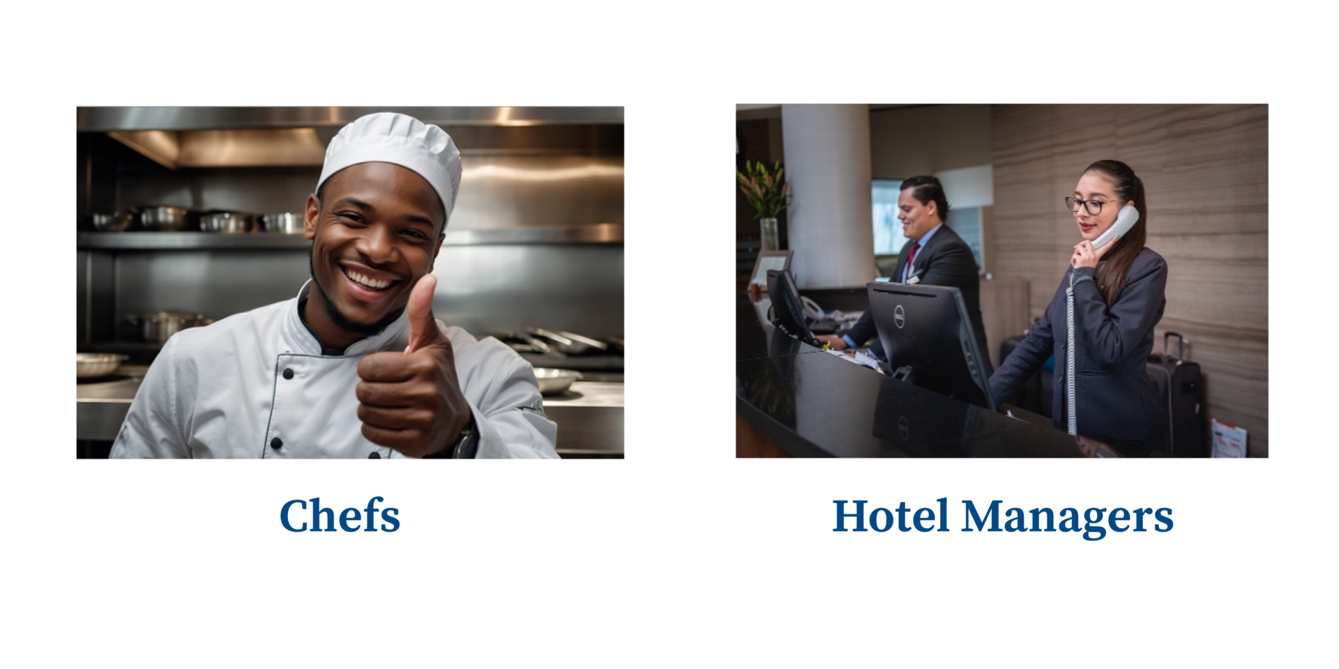 Skilled Expert Programme